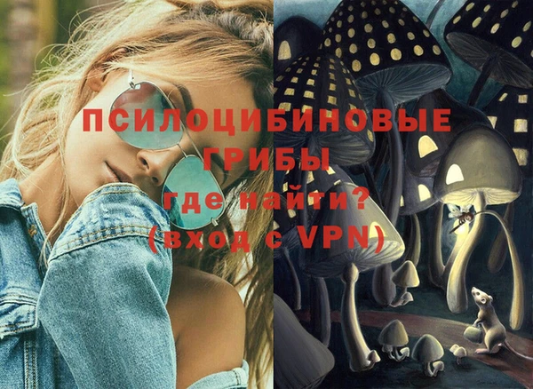 шишки Елизово