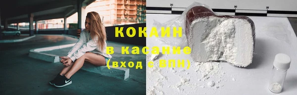 шишки Елизово