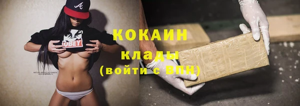 шишки Елизово