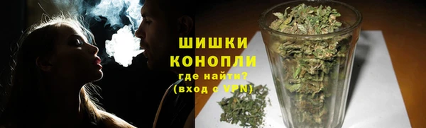 шишки Елизово