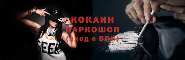 шишки Елизово