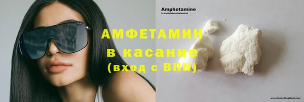 шишки Елизово