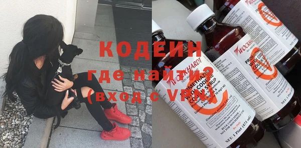 шишки Елизово