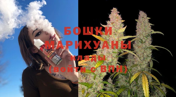 шишки Елизово