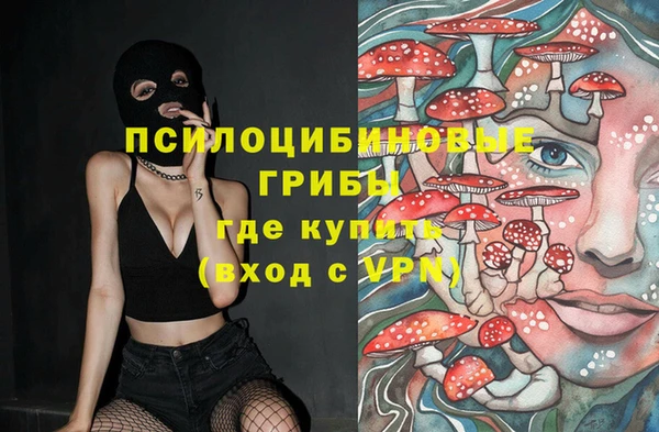 шишки Елизово