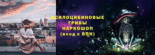 шишки Елизово