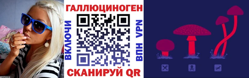 Купить закладки  Болхов  Псилоцибиновые грибы мухоморы 
